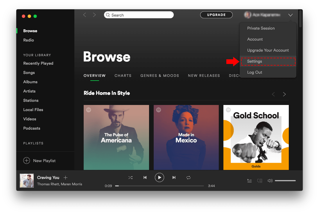 How to find spotify equalizer on mac